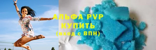винт Каменка