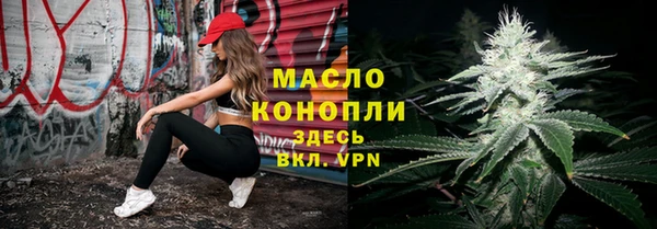 винт Каменка