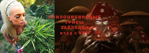 гашиш Касимов