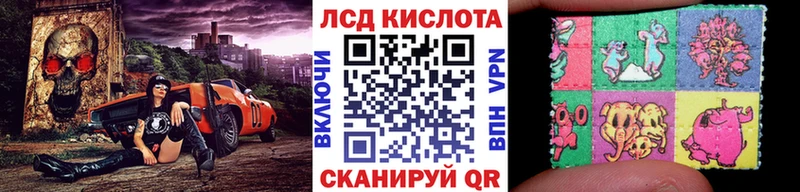 МЕГА маркетплейс  Козловка  Наркотические марки 1,8мг  где можно купить наркотик 