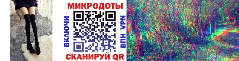 Галлюциногенные грибы Psilocybine cubensis Козловка